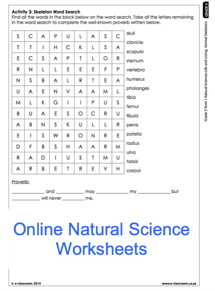 Grade 5 Natural Science Worksheets Pdf Matthew Sheridan 39 s School 