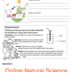 Grade 5 Natural Science Worksheets Term 1 Pdf Math Worksheets For