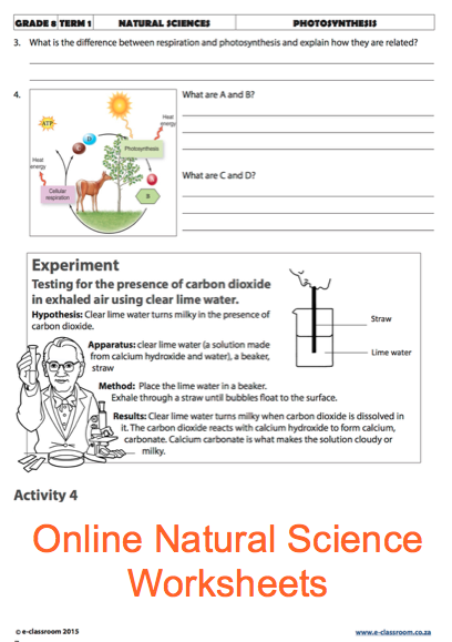 Grade 5 Natural Science Worksheets Term 1 Pdf Math Worksheets For 