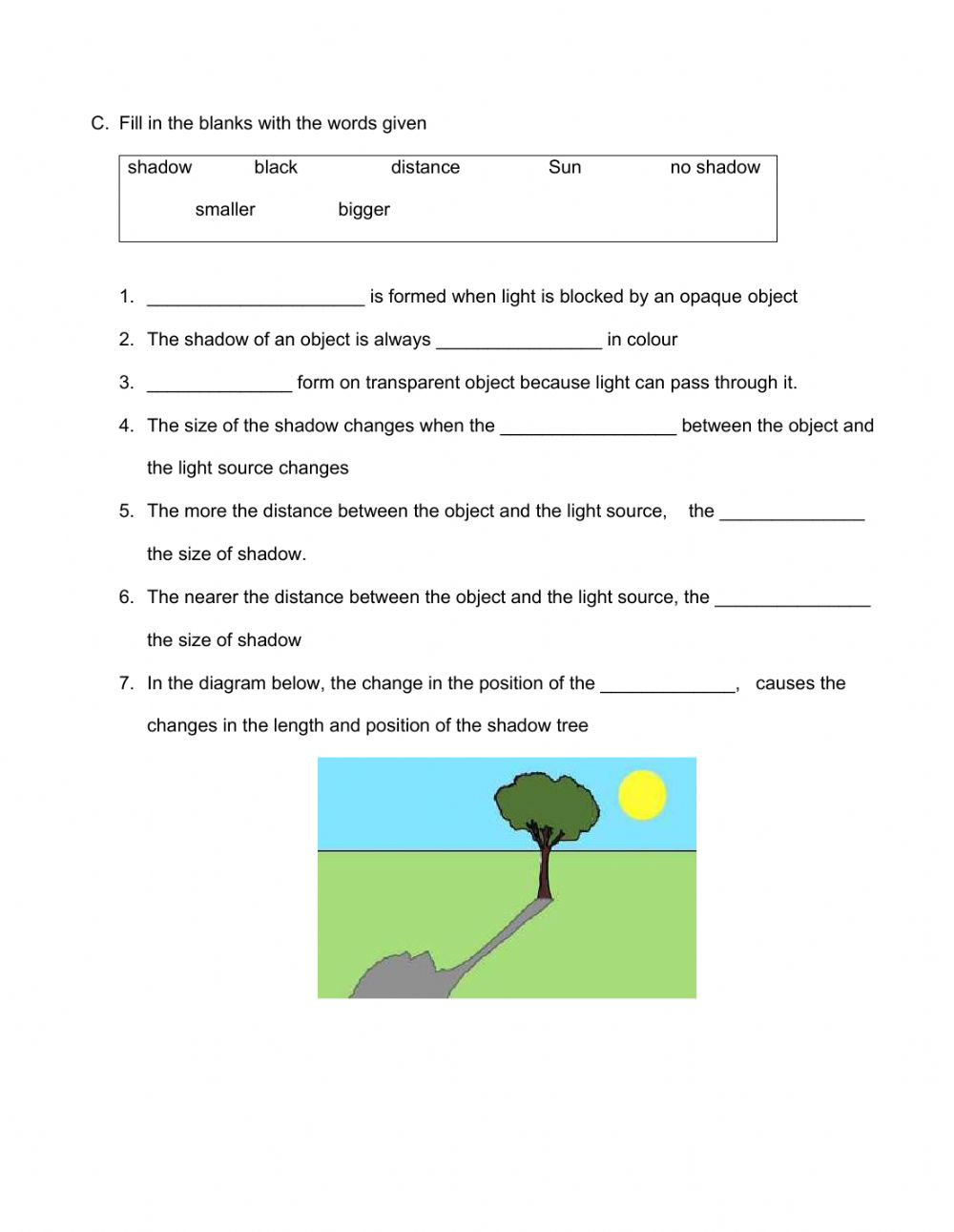 Grade 5 Science Worksheets Light Scienceworksheets