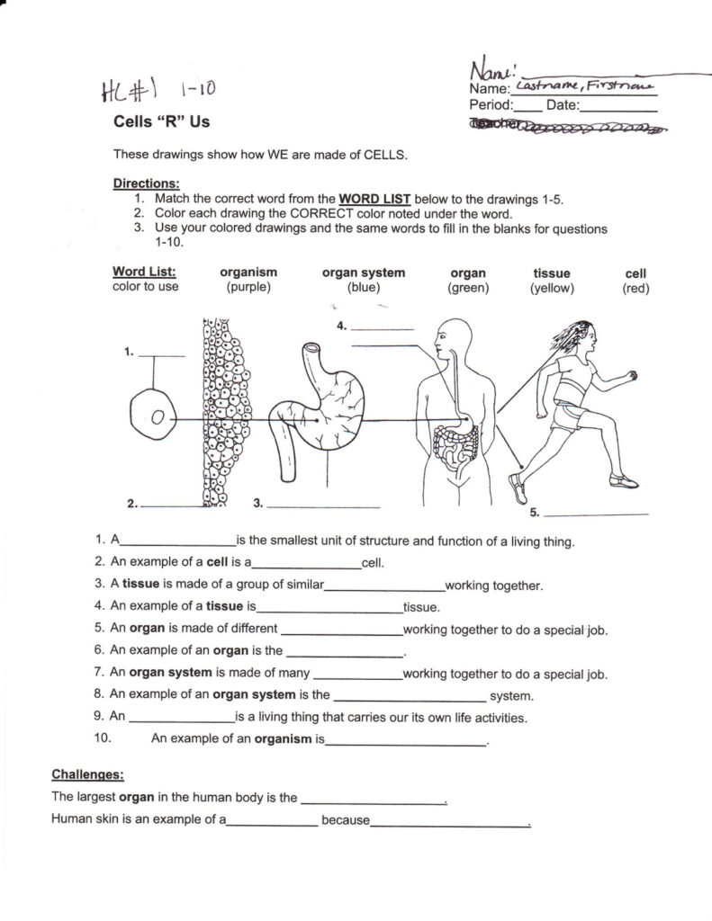 Grade 6 Science Worksheets