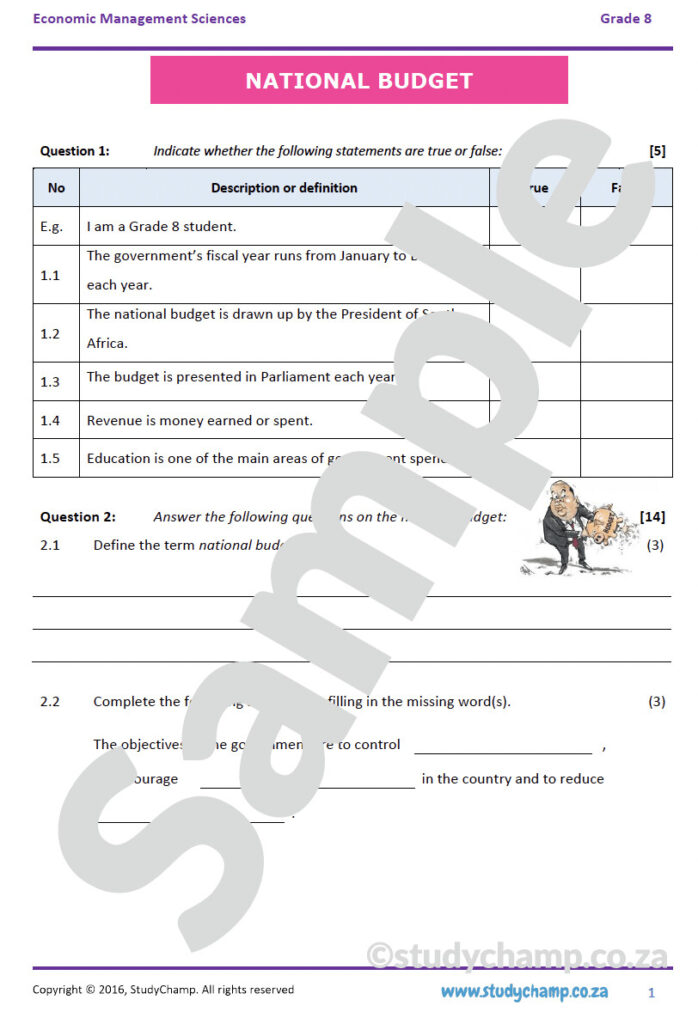 Grade 8 Economic And Management Sciences Bundle