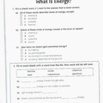 Grade 8 Science Worksheets Printable