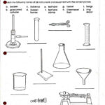 Gravity And Acceleration Worksheet Physical Science If8767 Answers