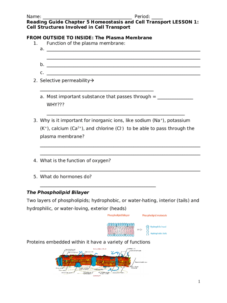 Homeostasis Worksheet Pdf Answer Key Doc Template PdfFiller