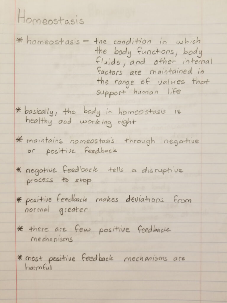 Homeostasis Worksheets Answers