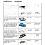 Independent And Dependent Variables Worksheet Pro Worksheet