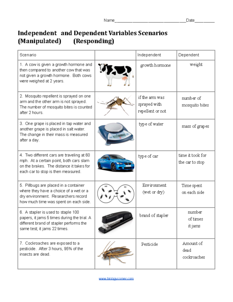 Independent And Dependent Variables Worksheet Pro Worksheet