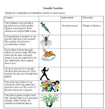 Independent And Dependent Variables Worksheet With Answer Key Pdf