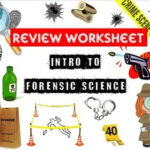 Intro To Forensic Science Review Worksheet And Answer Key TpT