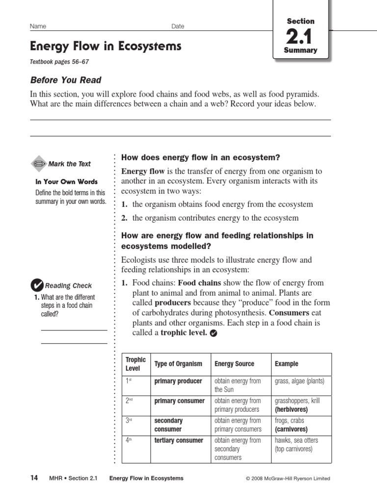 It 39 s Not Rocket Science 2022 Worksheet Answers Energy Flow Unit 