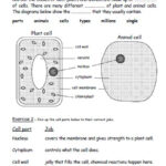 Ks3 Science Questions By Topic