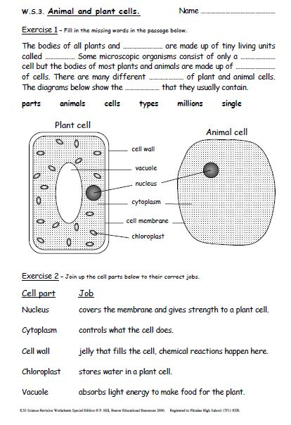 Ks3 Science Questions By Topic