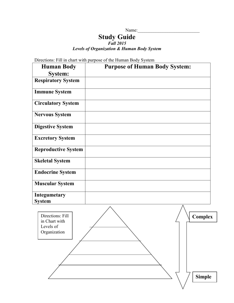 Level Of Organization Worksheet Onlineworksheet my id