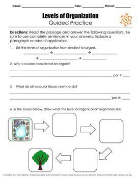 Levels Of Organization Worksheet 7th Grade