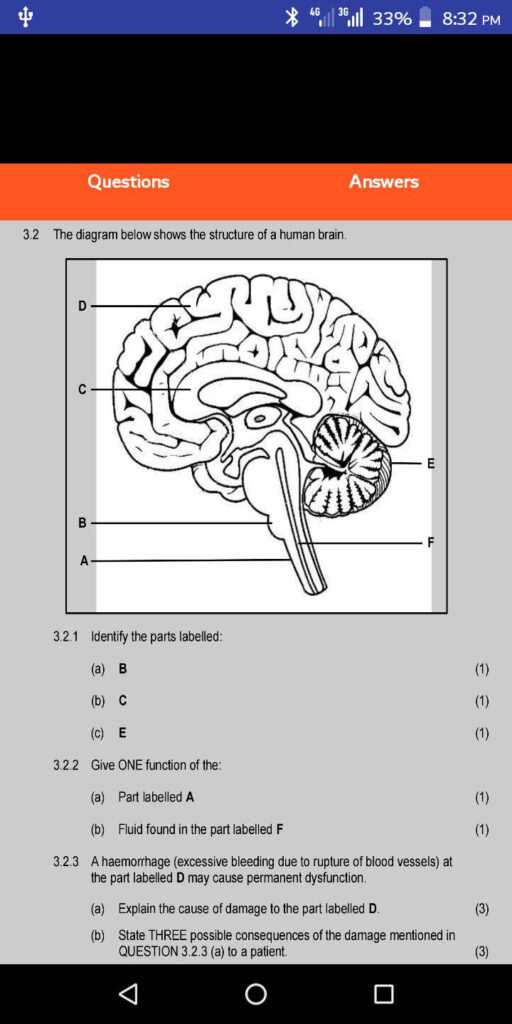 Life Sciences Grade 12 Worksheets Scienceworksheets