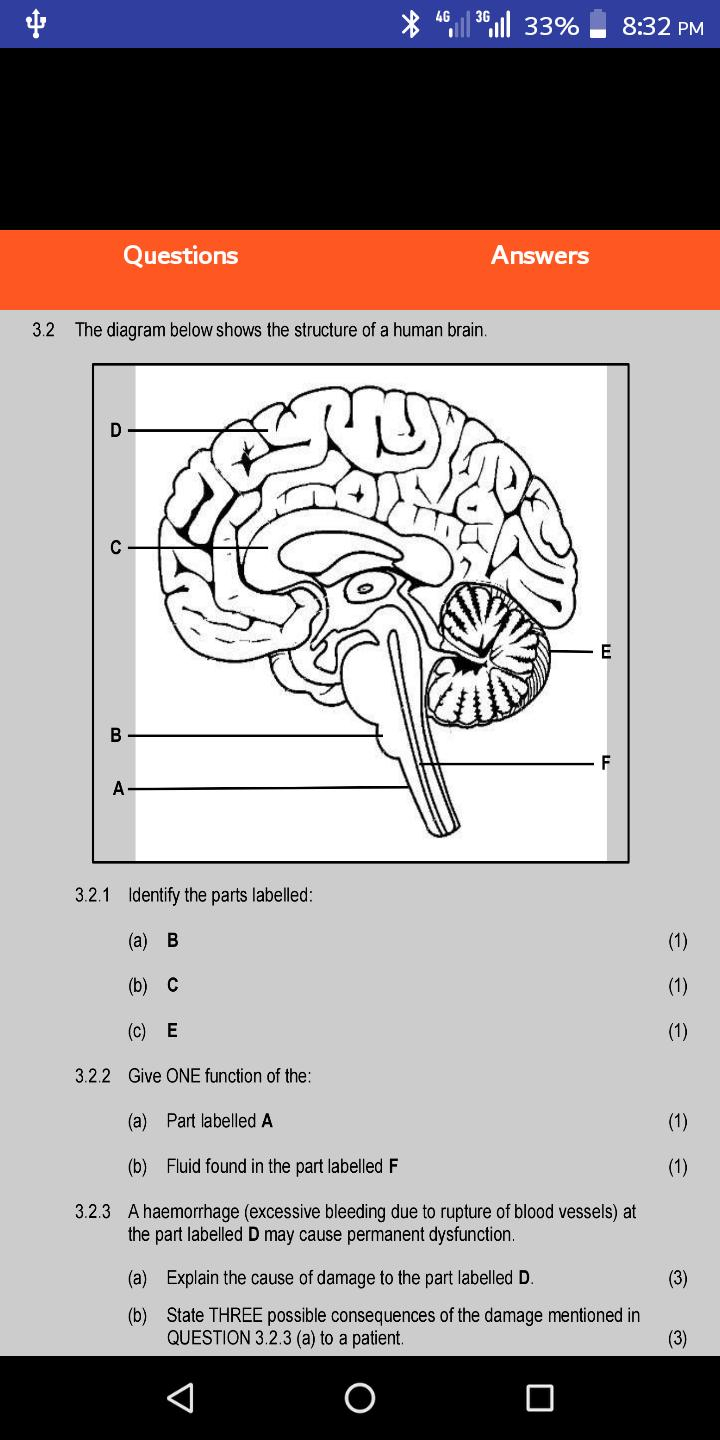 Science Worksheets For Grade 12 - Scienceworksheets.net