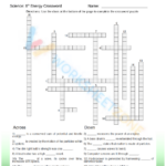 Light 8th Grade Science Worksheets And Answer Key Study Guides