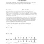 Lipid Worksheet Answer Key Fill Online Printable Fillable Blank