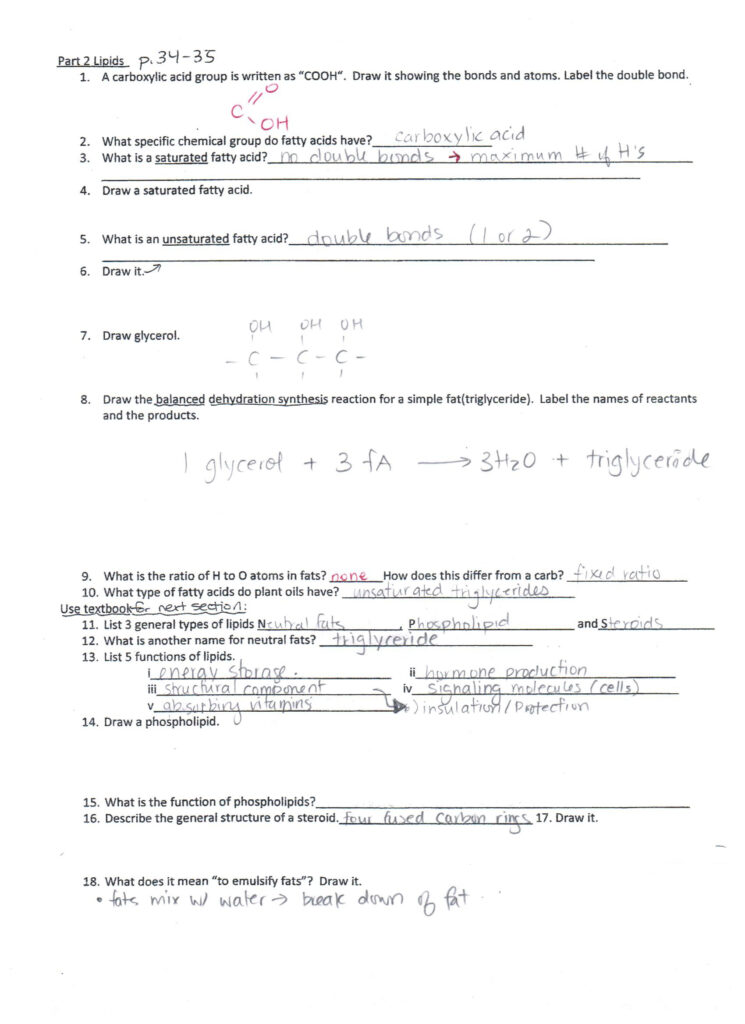 Lipids Worksheet Answers