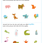 Mammals And Reptiles Worksheet Free Animal Printable PDF For Kids