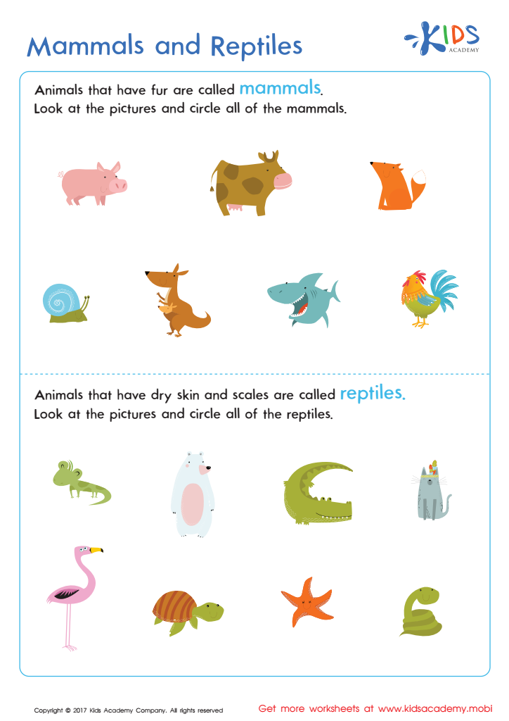 Mammals And Reptiles Worksheet Free Animal Printable PDF For Kids