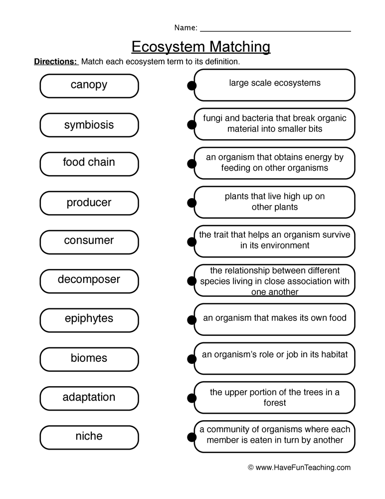 Matching Ecosystems Worksheet By Teach Simple