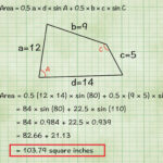 Math In Science Physical Science Worksheet 51 Answers