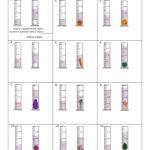 Measuring Up Science