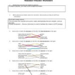 Monomer Polymer Worksheet Answer Key