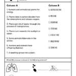 Natural Sciences Technology Grade 4 Worksheets Teacha