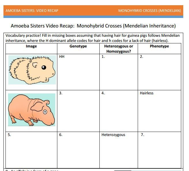 Nature Of Science Amoeba Sisters Worksheet