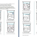 Osmosis And Diffusion Worksheet By Sidol 39 s Science Store TPT