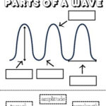 Parts Of A Wave Worksheet By Megan Schuster TPT