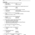 Physical Science Element Worksheet By The Learning Shop Resources