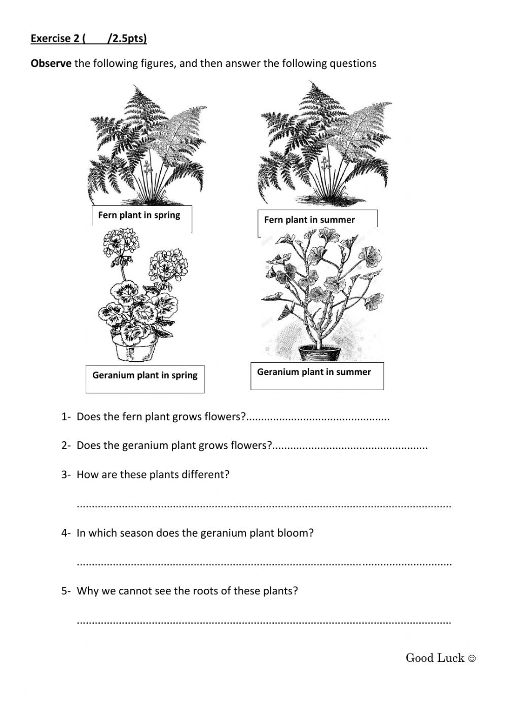 Plants Grade 3 Science Worksheets Pdf Scienceworksheets