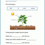 Plants Worksheets K5 Learning