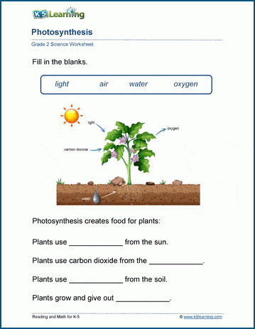 Plants Worksheets K5 Learning