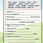 Printable 3rd Grade Science Plants Worksheets Thekidsworksheet