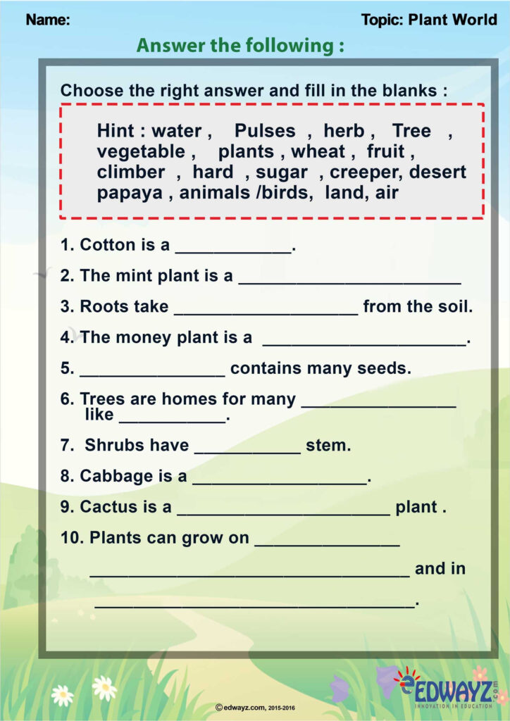 Printable 3rd Grade Science Plants Worksheets Thekidsworksheet 