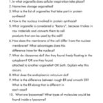 Printable Biology Worksheet Grade 10