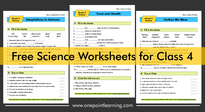 Printable Science Worksheets For Class 4 With Answers PDF 