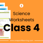 Printable Science Worksheets For Class 4 With Answers PDF