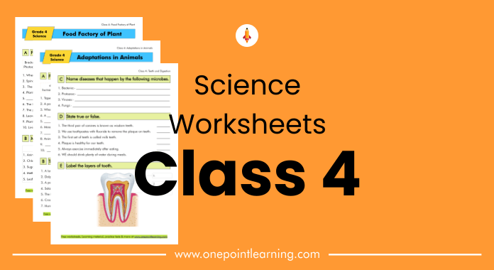 Printable Science Worksheets For Class 4 With Answers PDF