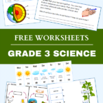 Printable Science Worksheets For Grade 3