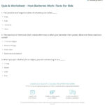 Quiz Worksheet How Batteries Work Facts For Kids Study