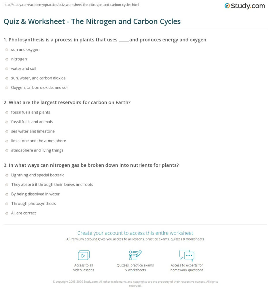 Quiz Worksheet The Nitrogen And Carbon Cycles Study