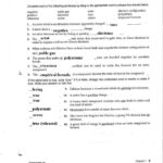 Reinforcement Skills Worksheet Answers SkillsWorksheets