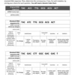 Research Methods In Political Science Worksheet Answers