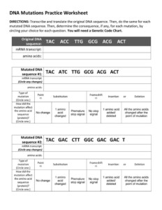 Research Methods In Political Science Worksheet Answers